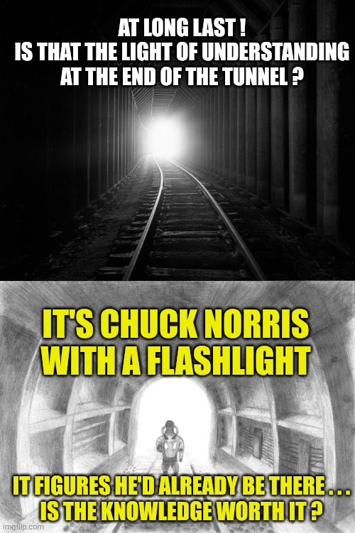 AT LONG LAST !
IS THAT THE LIGHT OF UNDERSTANDING AT THE END OF THE TUNNEL ? IT'S CHUCK NORRIS WITH A FLASHLIGHT IT FIGURES HE'D ALREADY BE  | image tagged in light at the end,chuck norris with a flashlight | made w/ Imgflip meme maker