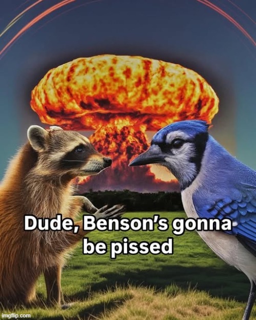 image tagged in regular show,bensons gonna be pissed | made w/ Imgflip meme maker