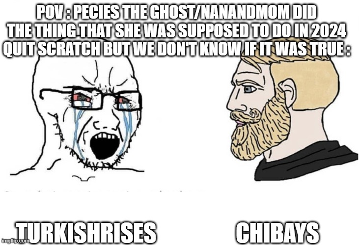 yep but god who knows If This Is True But If It Is I Will Be Happy | POV : PECIES THE GHOST/NANANDMOM DID THE THING THAT SHE WAS SUPPOSED TO DO IN 2024 QUIT SCRATCH BUT WE DON'T KNOW IF IT WAS TRUE :; CHIBAYS; TURKISHRISES | image tagged in soyboy vs yes chad,memes,scratch memes | made w/ Imgflip meme maker