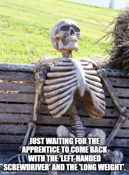 Construction memes | JUST WAITING FOR THE APPRENTICE TO COME BACK WITH THE 'LEFT-HANDED SCREWDRIVER' AND THE 'LONG WEIGHT'. | image tagged in memes,waiting skeleton | made w/ Imgflip meme maker