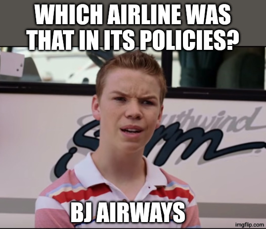 You Guys are Getting Paid | WHICH AIRLINE WAS THAT IN ITS POLICIES? BJ AIRWAYS | image tagged in you guys are getting paid | made w/ Imgflip meme maker