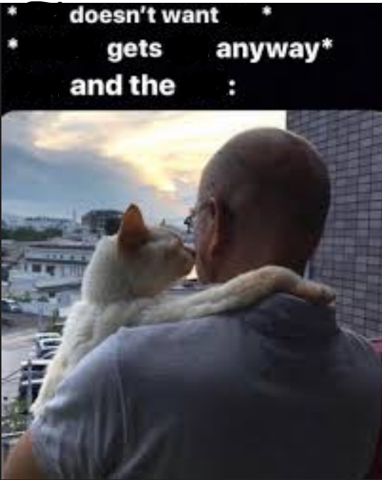 Dad and the Cat Blank Meme Template