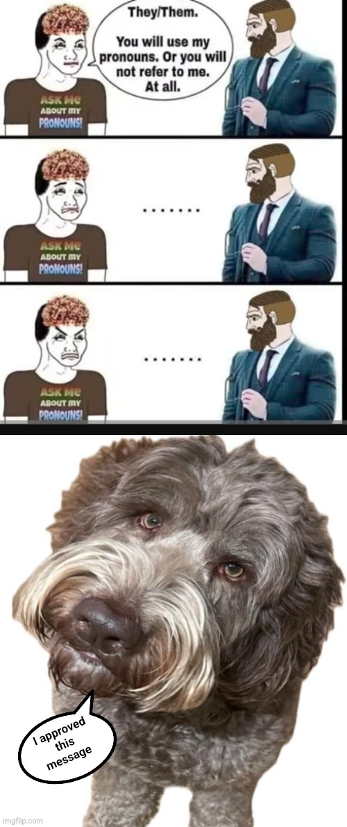 I approved this message | made w/ Imgflip meme maker