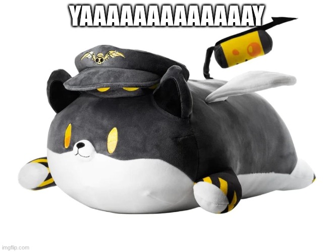 dog N | YAAAAAAAAAAAAAY | image tagged in dog n | made w/ Imgflip meme maker