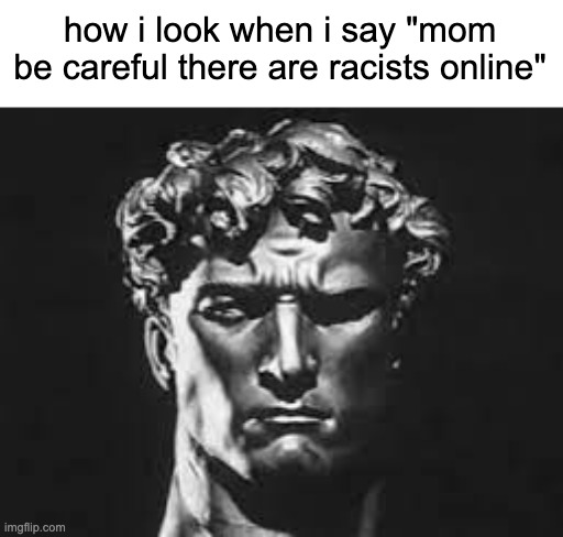 how i look at bro | how i look when i say "mom be careful there are racists online" | image tagged in how i look at bro | made w/ Imgflip meme maker