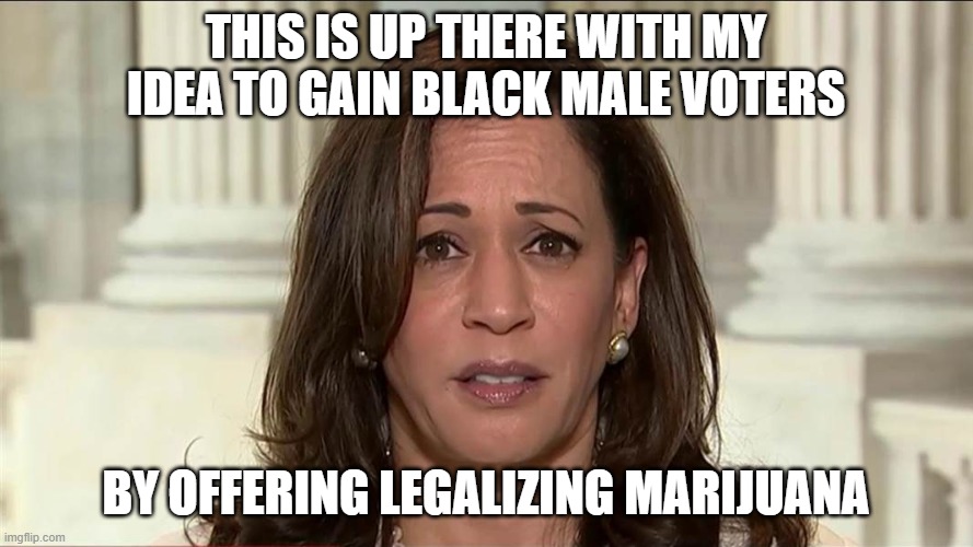 kamala harris | THIS IS UP THERE WITH MY IDEA TO GAIN BLACK MALE VOTERS BY OFFERING LEGALIZING MARIJUANA | image tagged in kamala harris | made w/ Imgflip meme maker