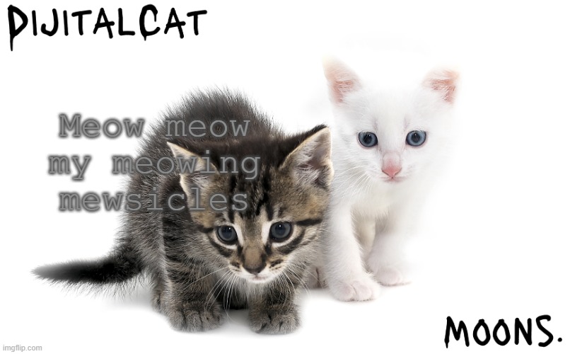 moons and dijitalcat kitty temp | Meow meow my meowing mewsicles | image tagged in moons and dijitalcat kitty temp | made w/ Imgflip meme maker
