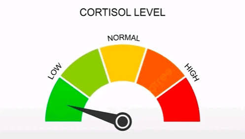 cortisol level low Blank Meme Template