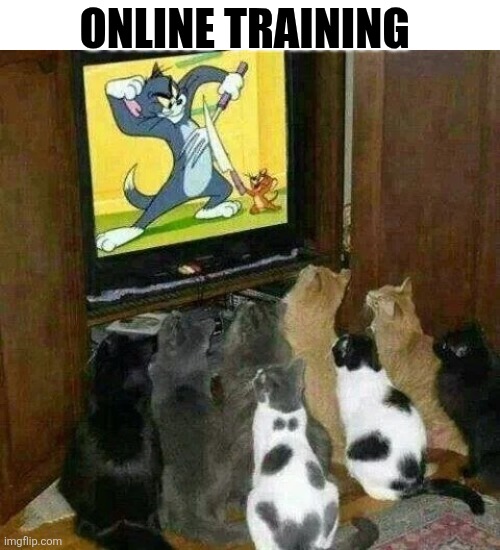 Online Training | ONLINE TRAINING | image tagged in chrisjoines1 | made w/ Imgflip meme maker