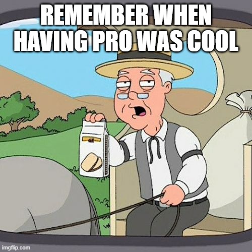 Pepperidge Farm Remembers | REMEMBER WHEN HAVING PRO WAS COOL | image tagged in memes,pepperidge farm remembers | made w/ Imgflip meme maker