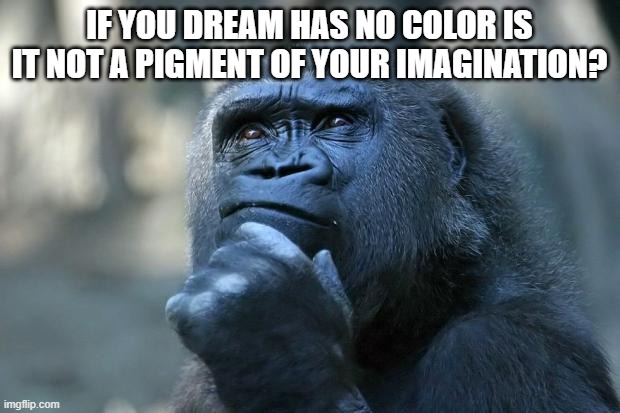 Deep Thoughtz | IF YOU DREAM HAS NO COLOR IS IT NOT A PIGMENT OF YOUR IMAGINATION? | image tagged in deep thoughts | made w/ Imgflip meme maker