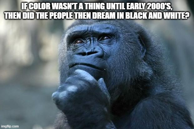 Deep Thoughts | IF COLOR WASN'T A THING UNTIL EARLY 2000'S, THEN DID THE PEOPLE THEN DREAM IN BLACK AND WHITE? | image tagged in deep thoughts | made w/ Imgflip meme maker