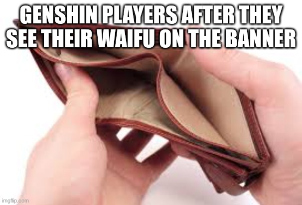 no money | GENSHIN PLAYERS AFTER THEY SEE THEIR WAIFU ON THE BANNER | image tagged in no money | made w/ Imgflip meme maker