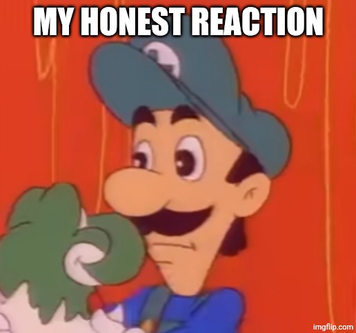 Luigi | MY HONEST REACTION | image tagged in luigi | made w/ Imgflip meme maker