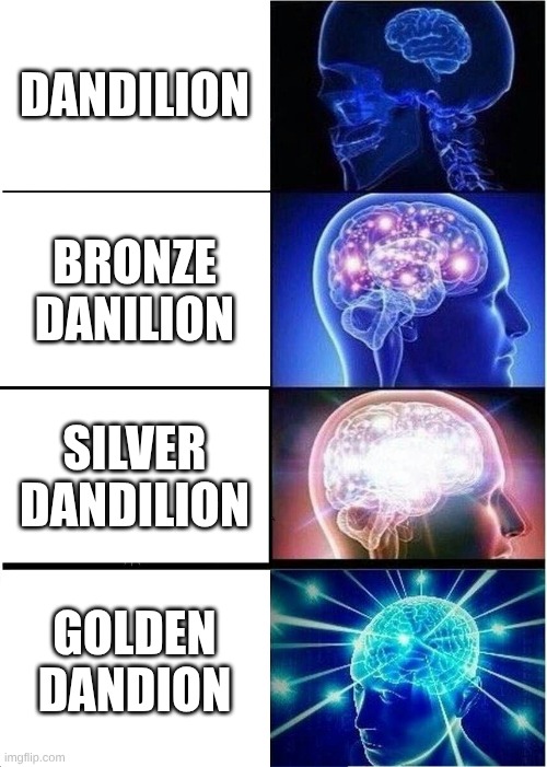 Expanding Brain Meme | DANDILION; BRONZE DANILION; SILVER DANDILION; GOLDEN DANDION | image tagged in memes,expanding brain | made w/ Imgflip meme maker