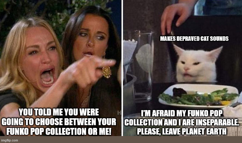Woman yelling at cat | MAKES DEPRAVED CAT SOUNDS; YOU TOLD ME YOU WERE GOING TO CHOOSE BETWEEN YOUR FUNKO POP COLLECTION OR ME! I’M AFRAID MY FUNKO POP COLLECTION AND I ARE INSEPARABLE. PLEASE, LEAVE PLANET EARTH | image tagged in woman yelling at cat | made w/ Imgflip meme maker