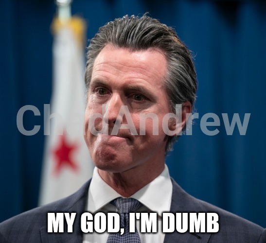 "God, I'm dumb." | MY GOD, I'M DUMB | image tagged in gavin newsom,dumb,stupid | made w/ Imgflip meme maker