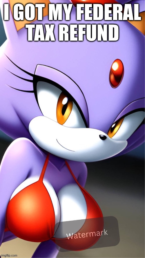 HOORAY! | I GOT MY FEDERAL
TAX REFUND | image tagged in blaze hot red bikini mobile wallpaper | made w/ Imgflip meme maker