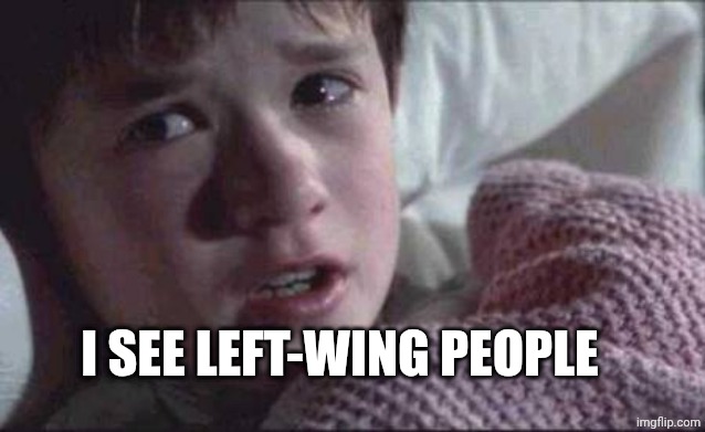 I See Dead People | I SEE LEFT-WING PEOPLE | image tagged in memes,i see dead people | made w/ Imgflip meme maker