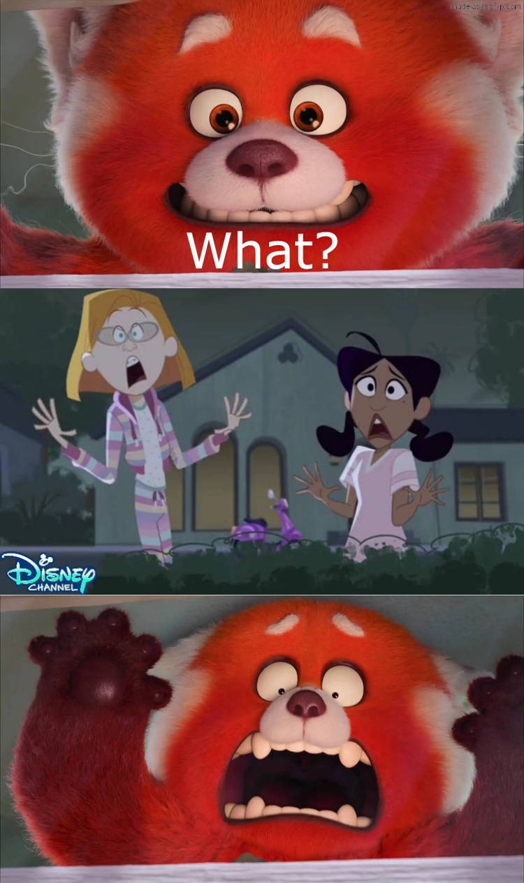 Zoey Howzer and Penny Proud screams at Mei Lee | image tagged in who screams at mei lee,deviantart,crossover,disney,pixar,turning red | made w/ Imgflip meme maker