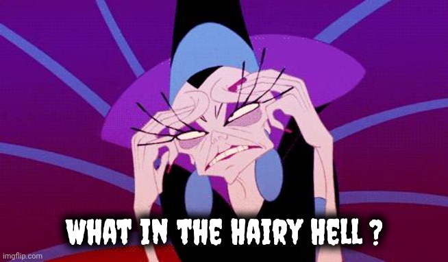 exasperated | What in the Hairy Hell ? | image tagged in exasperated | made w/ Imgflip meme maker