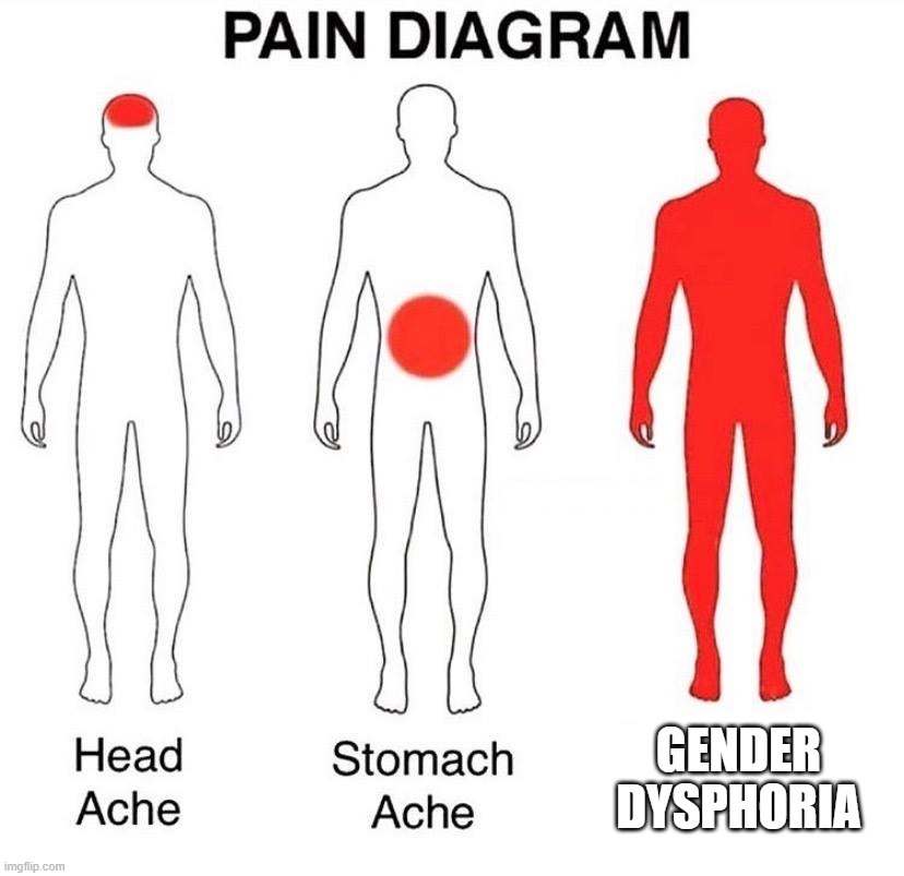 Pain Diagram | GENDER DYSPHORIA | image tagged in pain diagram | made w/ Imgflip meme maker