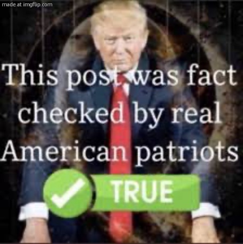 This post was fact-checked by real American patriots. | image tagged in this post was fact-checked by real american patriots | made w/ Imgflip meme maker