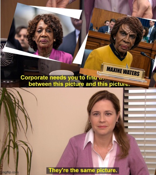 They're The Same Picture | image tagged in memes,they're the same picture | made w/ Imgflip meme maker
