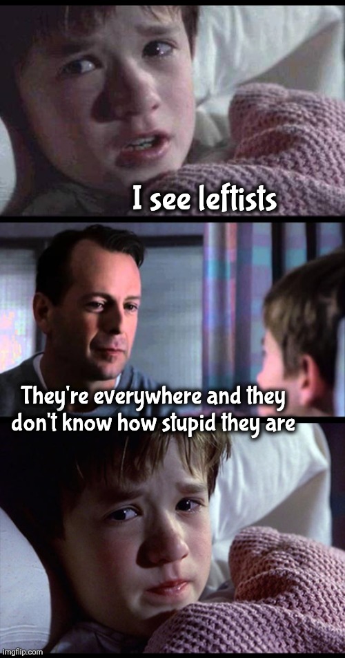 I see dead people 3-frame | I see leftists They're everywhere and they don't know how stupid they are | image tagged in i see dead people 3-frame | made w/ Imgflip meme maker