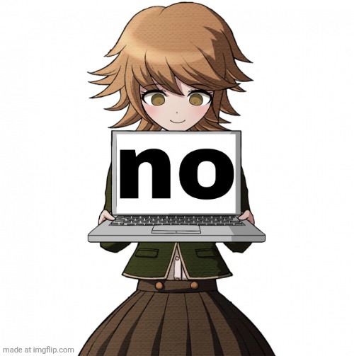 no | image tagged in no | made w/ Imgflip meme maker