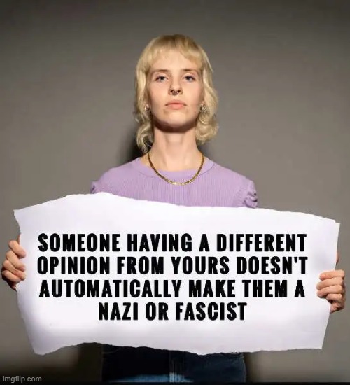 Lesson for Liberals | image tagged in nazi,facist,labels,liberals,opinions,i did nazi that coming | made w/ Imgflip meme maker