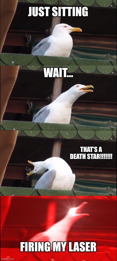 Inhaling Seagull | JUST SITTING; WAIT... THAT'S A DEATH STAR!!!!!!! FIRING MY LASER | image tagged in memes,inhaling seagull | made w/ Imgflip meme maker