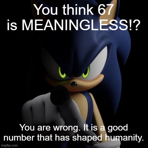 sonic pointing at you | You think 67 is MEANINGLESS!? You are wrong. It is a good number that has shaped humanity. | image tagged in sonic pointing at you | made w/ Imgflip meme maker
