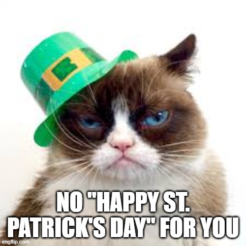 Grumpy cat says "No Happy St. Patrick's Day" for you. | NO "HAPPY ST. PATRICK'S DAY" FOR YOU | image tagged in cat,kittens,funny,humor,st patrick's day,grumpy cat | made w/ Imgflip meme maker