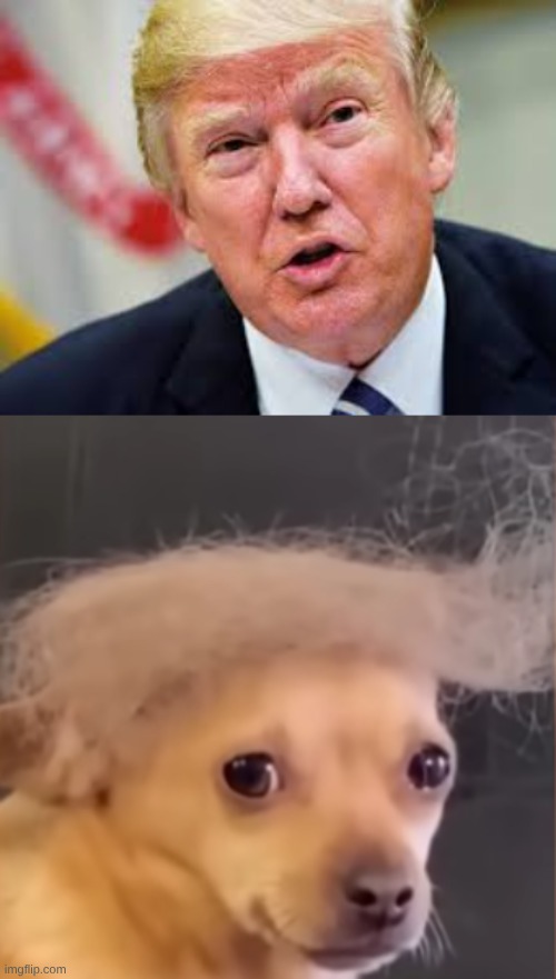 Hmmmm | image tagged in meme | made w/ Imgflip meme maker