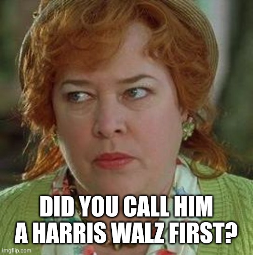 DID YOU CALL HIM A HARRIS WALZ FIRST? | image tagged in waterboy mom | made w/ Imgflip meme maker