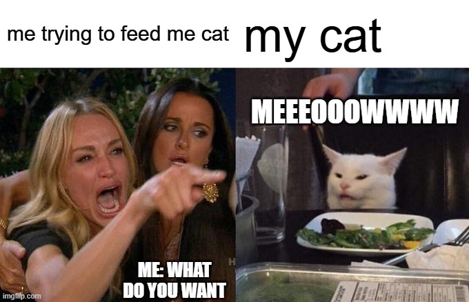 Woman Yelling At Cat | me trying to feed me cat; my cat; MEEEOOOWWWW; ME: WHAT DO YOU WANT | image tagged in memes,woman yelling at cat | made w/ Imgflip meme maker