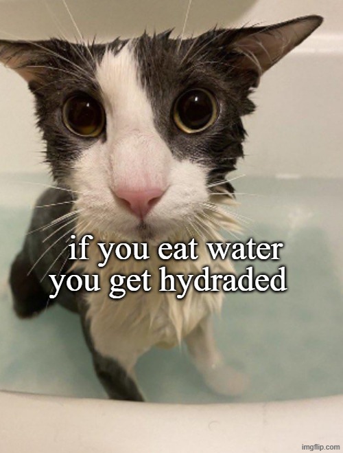 if you eat water you get hydraded | image tagged in sog | made w/ Imgflip meme maker