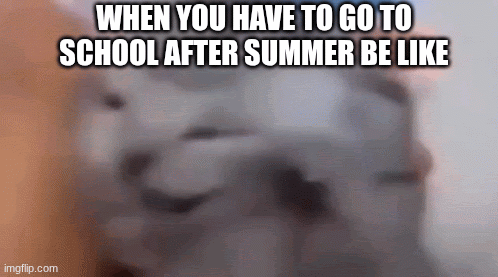 when your parents say you have  to go to school | WHEN YOU HAVE TO GO TO SCHOOL AFTER SUMMER BE LIKE | image tagged in gifs | made w/ Imgflip images-to-gif maker