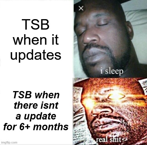 Sleeping Shaq Meme | TSB when it updates; TSB when there isnt a update for 6+ months | image tagged in memes,sleeping shaq | made w/ Imgflip meme maker