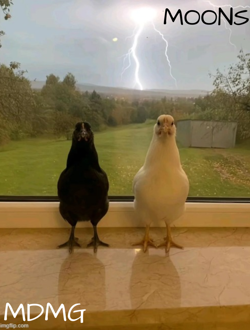 mdmg n moons shared temp Blank Meme Template