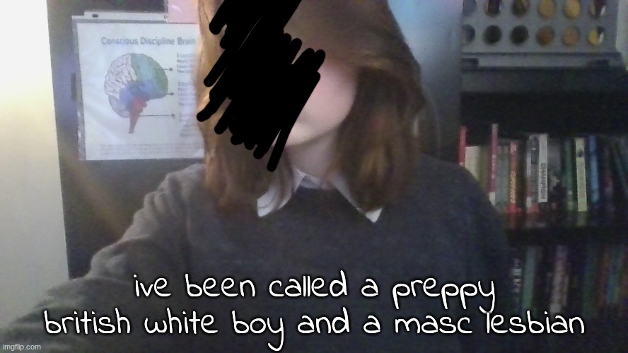 and js gay | ive been called a preppy british white boy and a masc lesbian | made w/ Imgflip meme maker