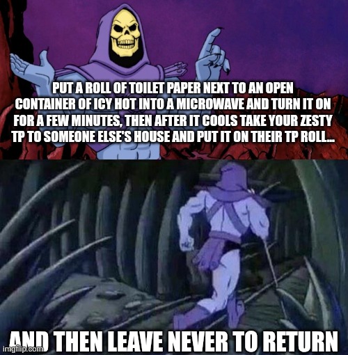 Butt hurt | PUT A ROLL OF TOILET PAPER NEXT TO AN OPEN CONTAINER OF ICY HOT INTO A MICROWAVE AND TURN IT ON FOR A FEW MINUTES, THEN AFTER IT COOLS TAKE YOUR ZESTY TP TO SOMEONE ELSE'S HOUSE AND PUT IT ON THEIR TP ROLL... AND THEN LEAVE NEVER TO RETURN | image tagged in he man skeleton advices,butthurt,toilet paper,toilet humor | made w/ Imgflip meme maker