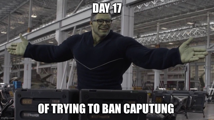 20 days is in reach | DAY 17; OF TRYING TO BAN CAPUTUNG | image tagged in hulk time travel,banana | made w/ Imgflip meme maker