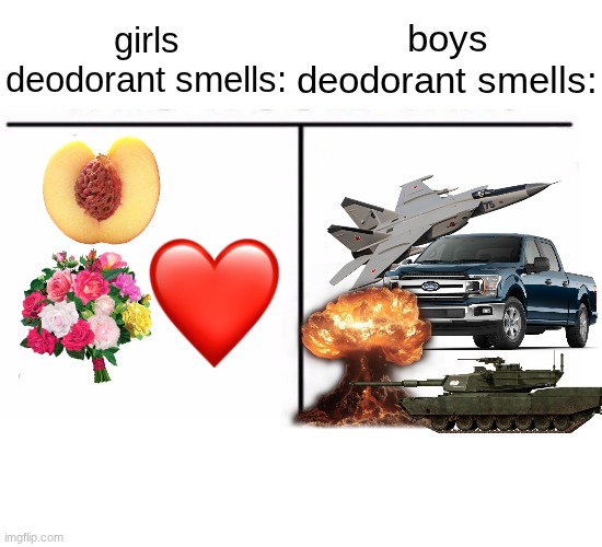 complete opposites | girls deodorant smells:; boys deodorant smells: | image tagged in comparison table,boys vs girls,smells,deodorant | made w/ Imgflip meme maker