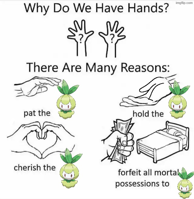 I love Petilil! | image tagged in why do we have hands all blank,pokemon | made w/ Imgflip meme maker
