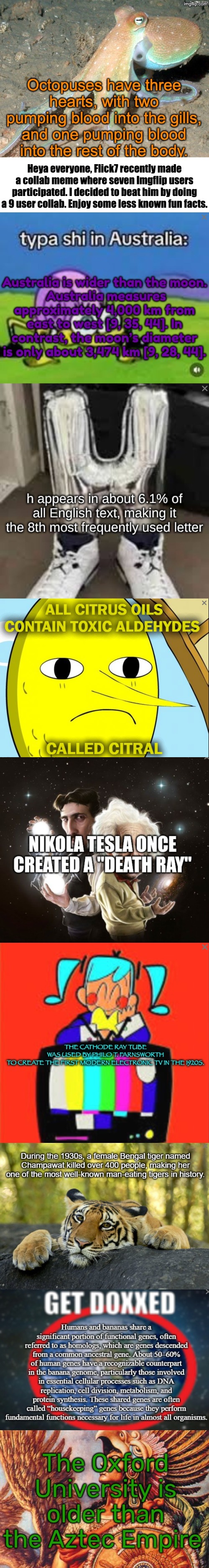 Thanks to the eight users willing to collab. All of them are named in the comments. | Heya everyone, Flick7 recently made a collab meme where seven Imgflip users participated. I decided to beat him by doing a 9 user collab. Enjoy some less known fun facts. | image tagged in collab,fun fact,memes,flick7 | made w/ Imgflip meme maker
