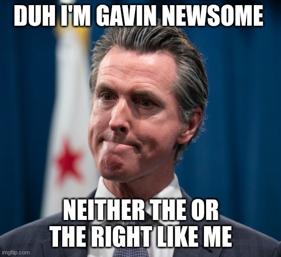 gavin newsdumb | DUH I'M GAVIN NEWSOME; NEITHER THE OR THE RIGHT LIKE ME | image tagged in gavin newsom | made w/ Imgflip meme maker