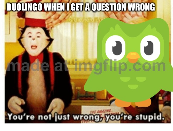 You're not just wrong your stupid | DUOLINGO WHEN I GET A QUESTION WRONG | image tagged in you're not just wrong your stupid | made w/ Imgflip meme maker