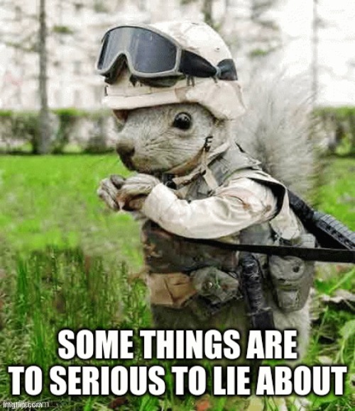 army squirrel | image tagged in likeyeah | made w/ Imgflip meme maker